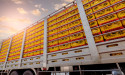 Poultry Hauling Made Safer with Balanced Trailer Weight Strategies