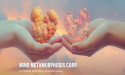 MIND METAMORPHOSIS CORP. ANNOUNCES NEW SPEAKERS BUREAU THROUGH BETTERMENTALHEALTH.ONLINE