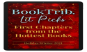 BookTrib Launches LIT PICKS HOLIDAY/WINTER 2024: First Chapters from the Hottest Books