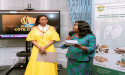 November 2024: A Month of Radiance for Côte d'Ivoire in London