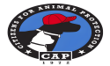 Anonymous Benefactor Pledges a $150,000 Giving Tuesday Match to Citizens for Animal Protection