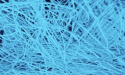 CD BioSciences Introduces Sustainable and Eco-Friendly Products for Environment-Friendly Development