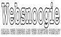 Websnoogie Announces Local Business Support Initiative For Nebraska