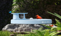 Birdfy Unveils Two Exciting New Products on YouTube Live, Enhancing the Smart Bird Feeder Series