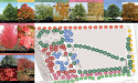 Utah City Announces, 'Greening of Utah City' Initiative and Groundbreaking of The Greenline Promenade