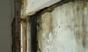 Why DIY Mold Removal Can Be Dangerous