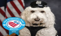 ASHEVILLE THERAPY DOG WINS NATIONAL “FIRST RESPONDER PAWS AWARD”