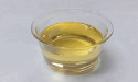  Alkyl Polyglucoside Industry Analysis in Europe to Surpass US$ 1.15 Billion, Expanding at 7.3% CAGR by 2034 