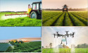 Agricultural Adjuvants Market Advancing at an 6.1% CAGR through 2034: Key Growth Drivers Fueling Future Projections