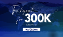 Japan-Based Cross-Border E-Commerce