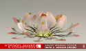  The Enigmatic Taoist Relic by Zhuoran Yang Wins Iron A' Design Award in 3D Design Category 