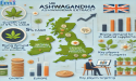 Ashwagandha Extracts: A Popular Herbal Remedy for Stress Relief and Wellness
