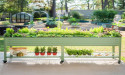 Vego Garden Reflects on 2024 Successes and Prepares for an Innovative 2025