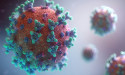 HMPV virus spreads outside China: are we staring at another pandemic?