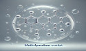 Methylparaben Market to Grow at 5.2% CAGR as Consumer Safety Concerns Drive Demand | Future Market Insights, Inc.