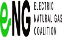  The e-NG Coalition welcomes 9 new members to accelerate the development of the e-NG market 