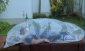 NUMOTECH, INC. Strengthens Intellectual Property Protection with U.S. Patent for NUMOBAG-DISPOSABLE ISOLATION SYSTEM