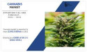 Cannabis Market Growing at 20.1% CAGR to Hit USD 148.9 Billion by 2031