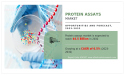 Protein Assays Market Size Poised for USD 4,449.02 million Milestone by 2032 At a CAGR of 6.5%