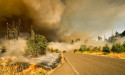 LA wildfires trigger $1 billion payout for European insurance companies