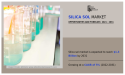 Silica Sol Market Based on Current and Future Trends, Developments and Opportunities 2025-2031