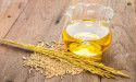 Rice Bran Oil Market in 2025 Share, Current and Future Industry Landscape Analysis 2032