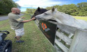 Warriors Heart announces Equine Programs added to Rehab for Veterans and First Responders for New Year with New Skills