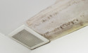 Steps to Prevent Mold Growth After a Flood or Water Leak