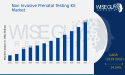 Non Invasive Prenatal Testing Kit Market Size to Expand at 14. 04% CAGR, Reaching 10. 82 Billion USD by 2032