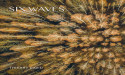 Thierry David's New Ambient Electronic Album: A Complex Journey in SIX WAVES