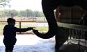 Myakka Elephant Ranch Hosted 3rd Annual Patriotic Christmas Celebration Honoring Veterans and First Responders