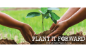 Oakwood Veneer Introduces 'Plant It Forward' Sustainability Program