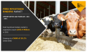 Feed Mycotoxin Binders Market Size Expected to Reach $393.9 Million by 2031