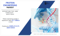 Revolutionizing Healthcare: Protein Engineering Market Soars with a CAGR of 13.2%