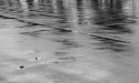 Legal Responsibilities of Property Owners for Icy or Wet Sidewalks in Louisiana
