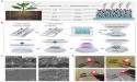 From roots to rugged circuits: the future of flexible electronics unveiled