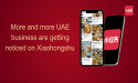 Dubai Embraces Chinese New Year as Economic and Cultural Connections with China Expand