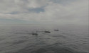 Seasats Secures Funding to Accelerate Growth of Autonomous Maritime Solutions