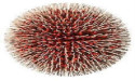 Polymeric Nanoparticles Market Empathy in Action Enhancing Understanding through Focus Group Conversations