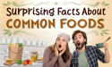 FoodNourish Publishes Surprising Facts About Common Foods We Eat Every Day, Most People Don't Know About
