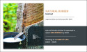 Natural Rubber Market Unlocking Potential Mapping New Success Strategies with Market Size Insights