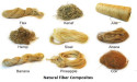 Natural Fiber Composites Market Big Profits on the Horizon as Market Size Continues to Grow