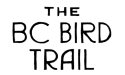 This BC Family Day, Experience Nature’s Spring Migration with the BC Bird Trail