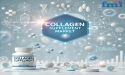 Collagen Supplement Market to Reach USD 3.08 Billion by 2034, Driven by Rising Demand for Functional Foods & Beverages