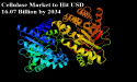 Cellulase Market is Projected to Hit USD 16.07 Billion by 2034, at a CAGR of 8.43%