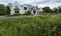 Pizzo Habitat Restoration Wins Gold for Ecological Planting from Landscaping Association