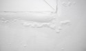 Why Accurate Water Damage Documentation is Essential for Successful Insurance Claims