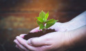 Craters & Freighters: Driving Sustainability Through Tree Planting