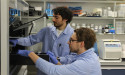 New study uncovers a promising strategy to combat antibiotic resistance