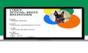 DNA My Dog Leads the Pack in 2025's Best Dog DNA Tests